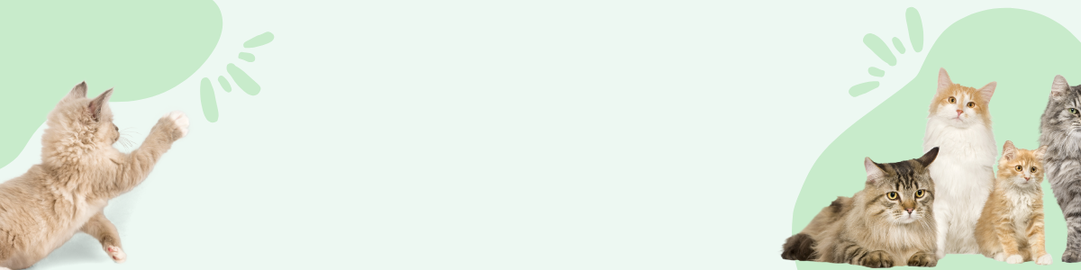 0 02 05 7ee96e78e6c10c7a1abe498b3293d8273a99b56bbcf06551d04753284f766cea 28f83299e6b