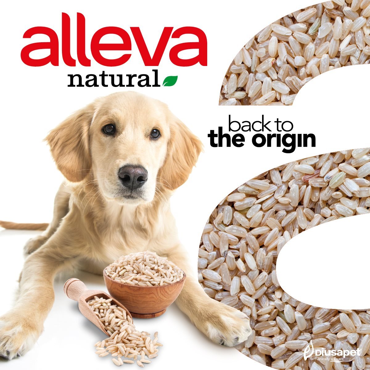 143879626 255062379310032 3861324278949967186 N