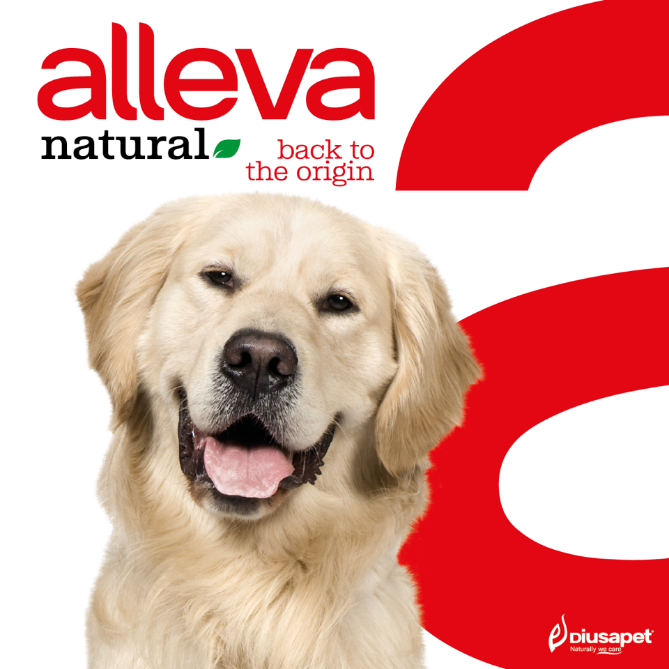 159648810 279582356858034 822415739200484699 N