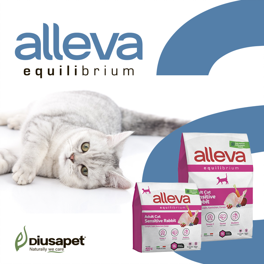 171048792 296495591833377 1626547699904029208 N