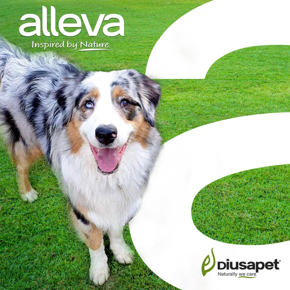 174979315 300762801406656 940475599990835656 N