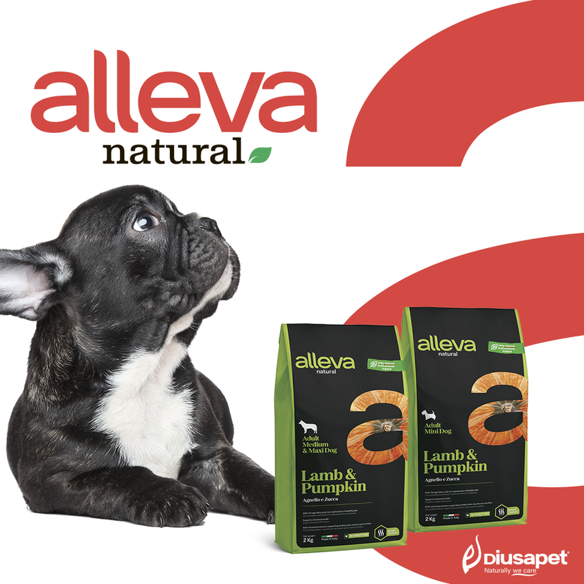 178753062 306477134168556 6295452944165788094 N