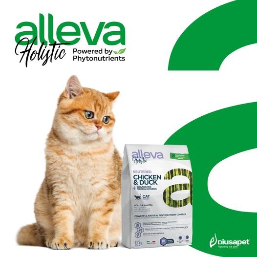 187459166 320769286072674 2390270408290319814 N