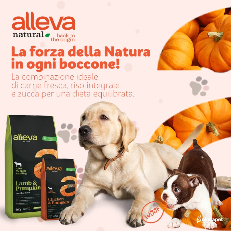 Natural banner 800x800