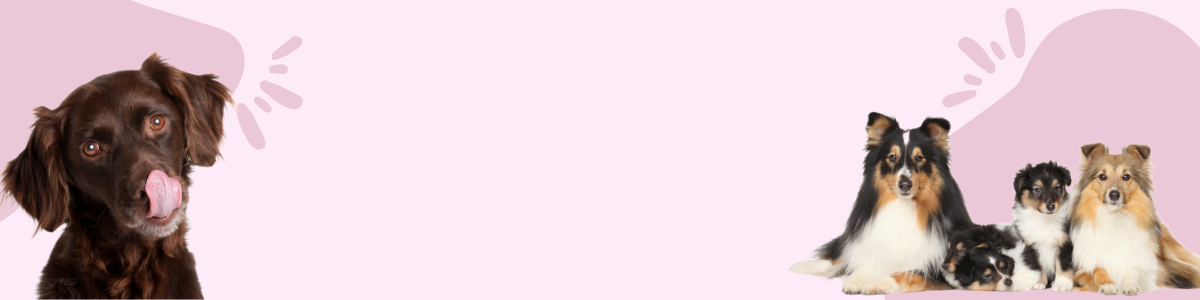 Brown Organic Pet Shop Etsy Shop Cover