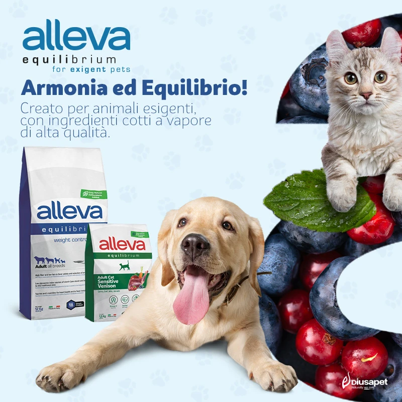 eEquilibrium banner 800x800