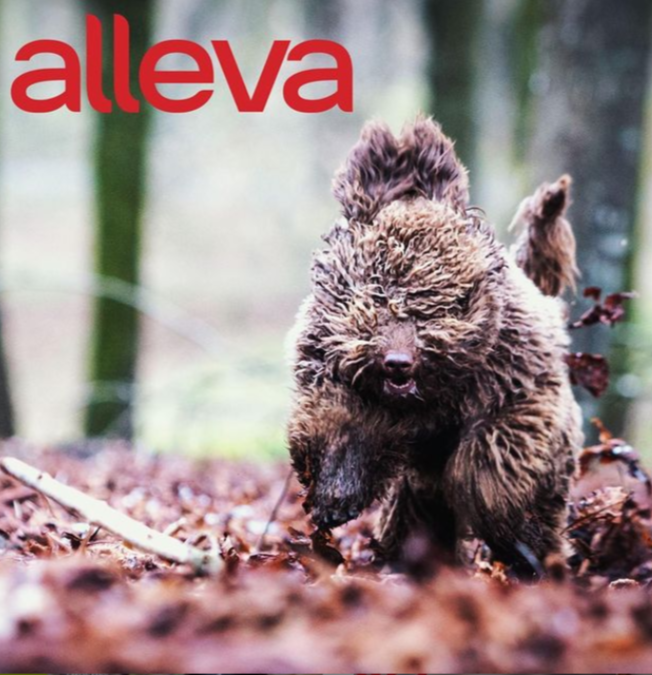 scrnli 10 14 2021 2 44 53 PM