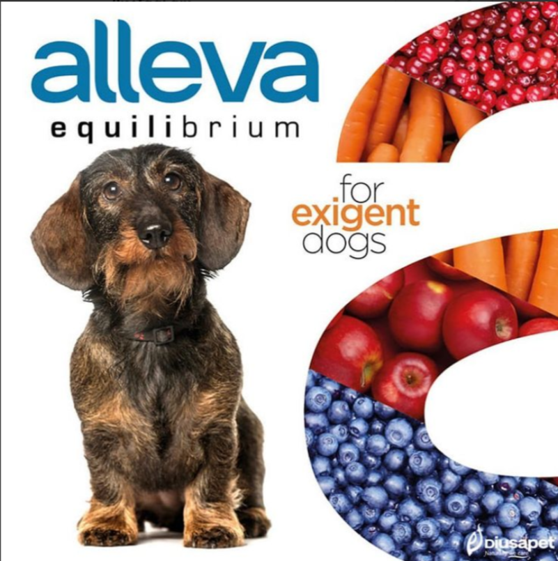 scrnli 10 28 2021 10 00 01 AM