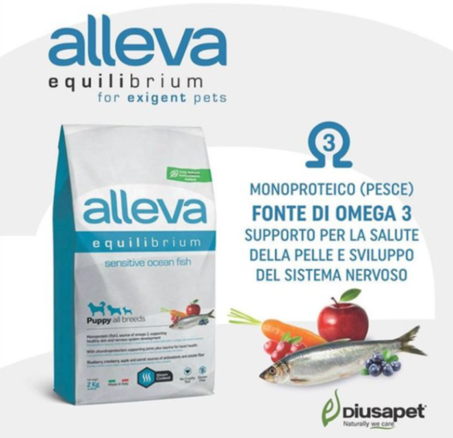 scrnli 10 8 2021 10 56 47 AM