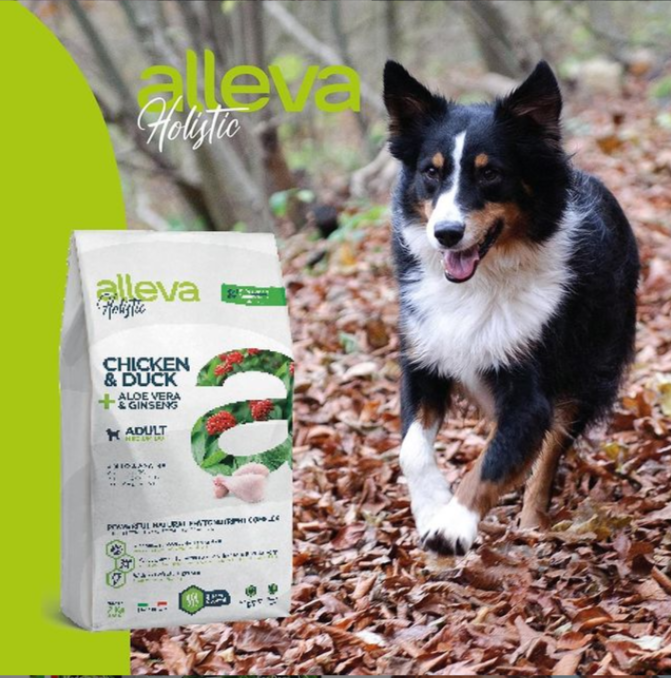 scrnli 10 8 2021 11 02 39 AM