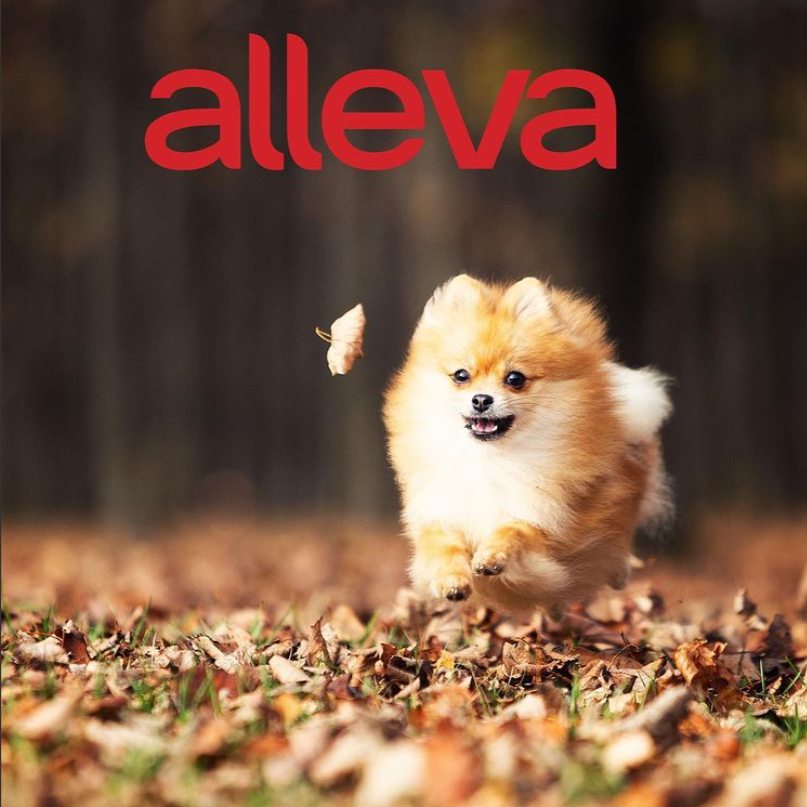 scrnli 11 12 2021 9 45 50 AM