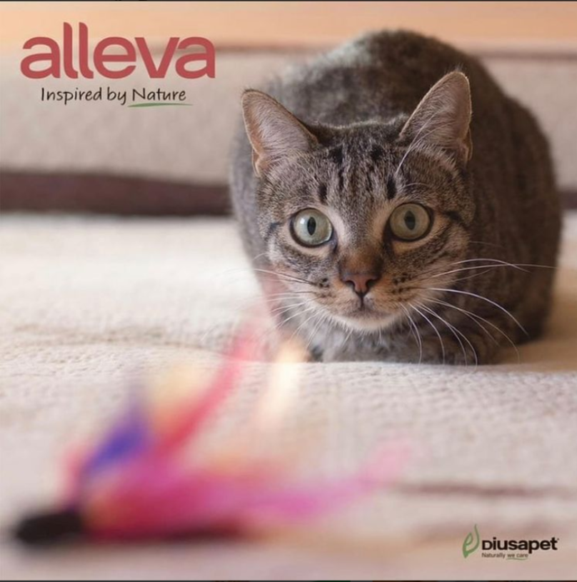 scrnli 11 18 2021 10 10 36 AM