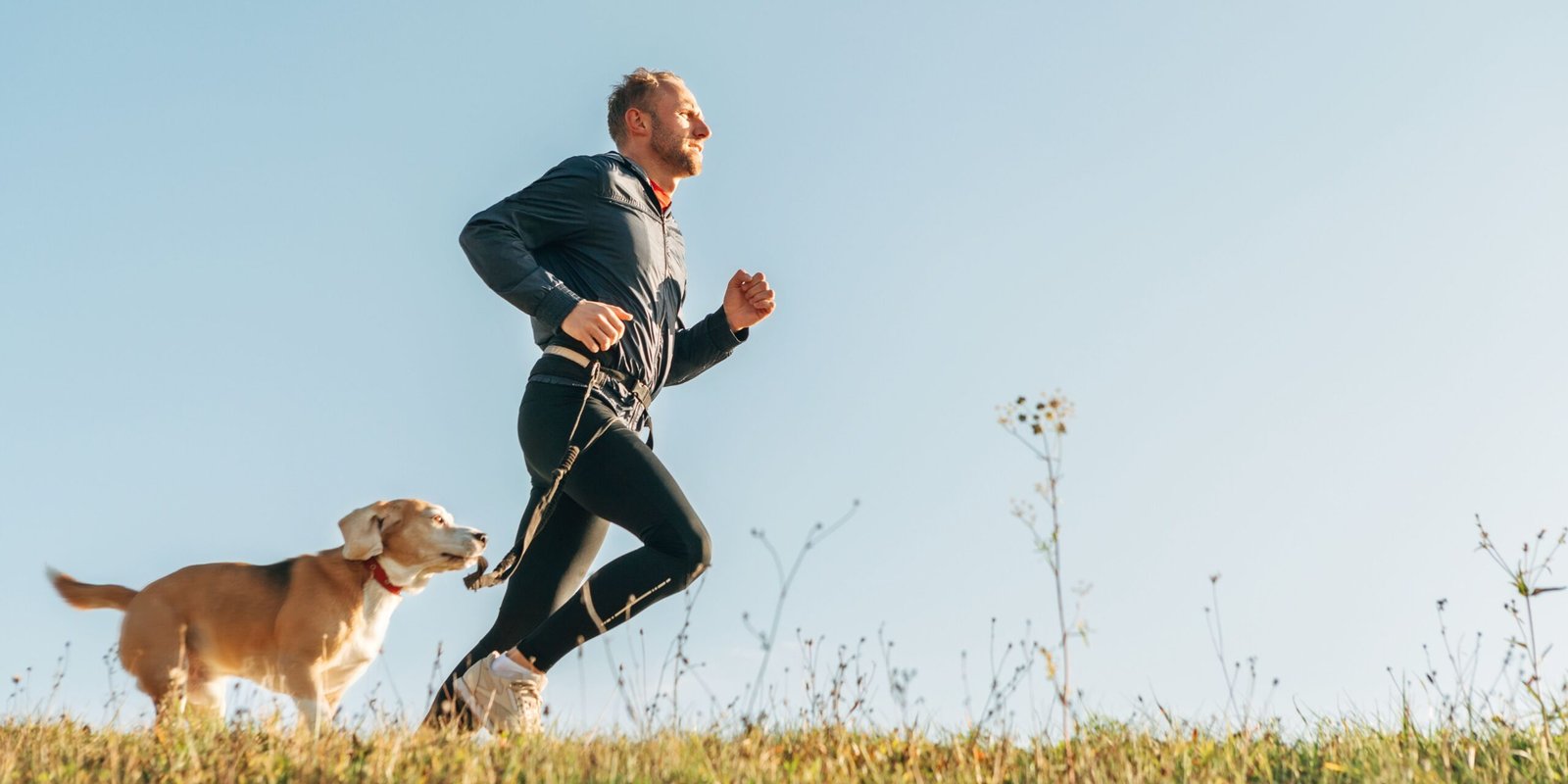 allenarsi con il cane