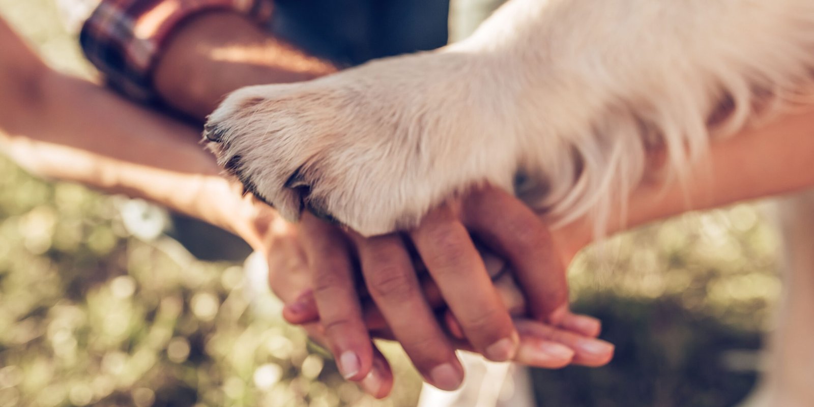 uniti per la produzione crocchette per cani