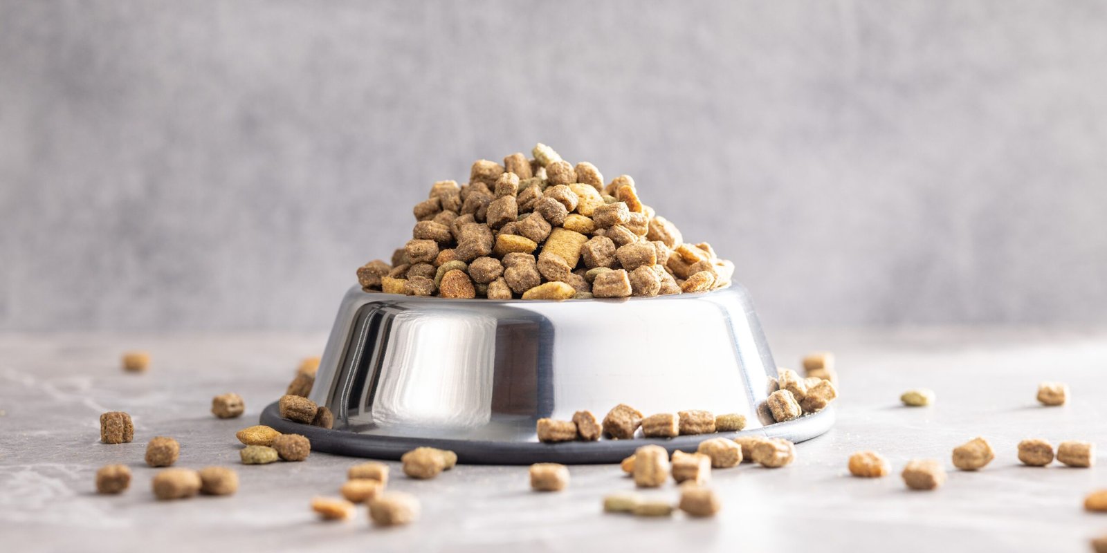 fitonutrienti nelle crocchette per cani e gatti