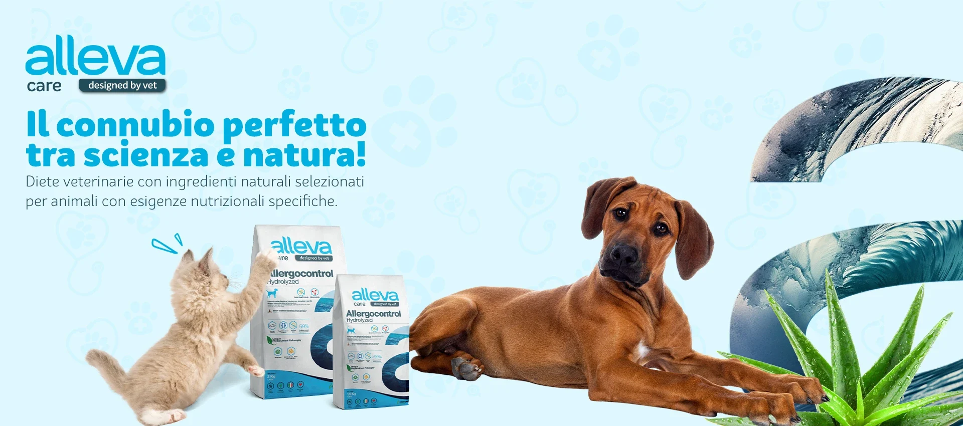 Care banner 1920x850