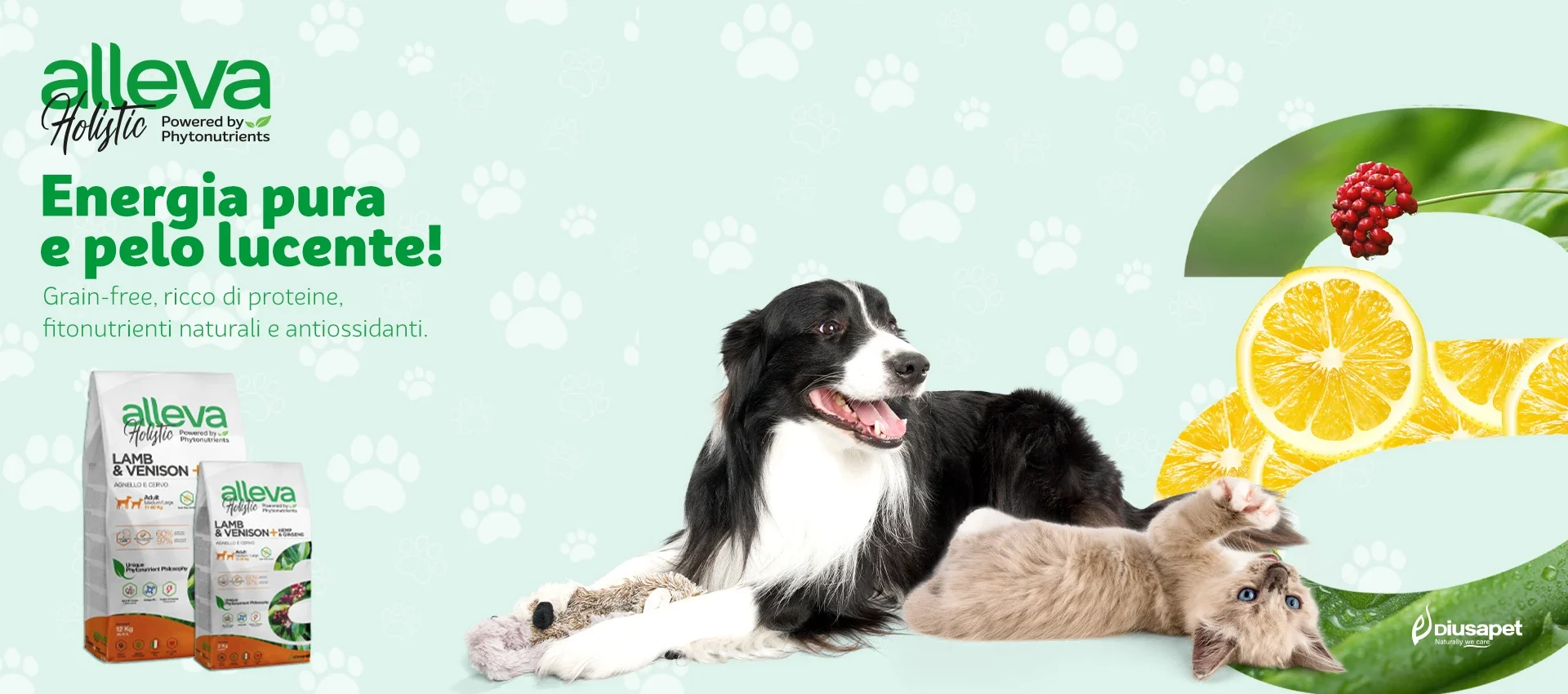 Holistic banner 10920x850