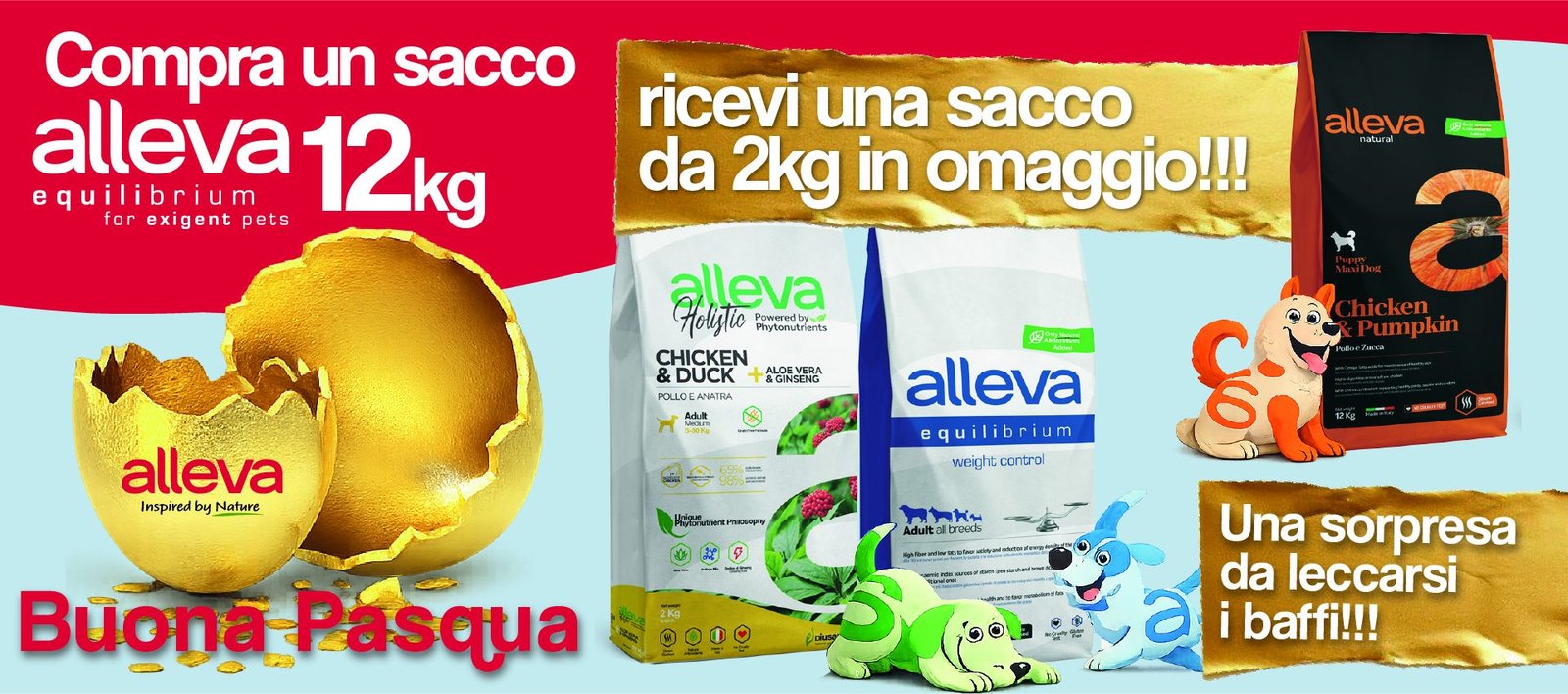 IT e shop banner ester dog