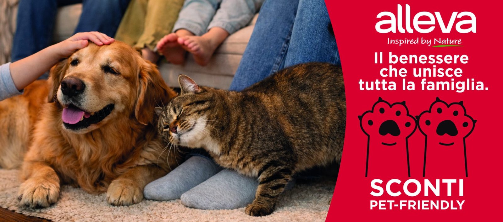 banner 10 20 sales ok 01