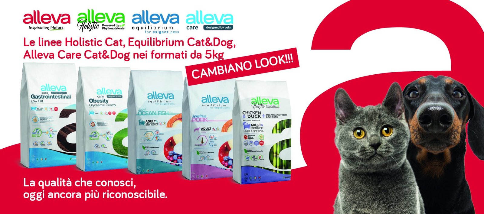 e shop banner 5kg new