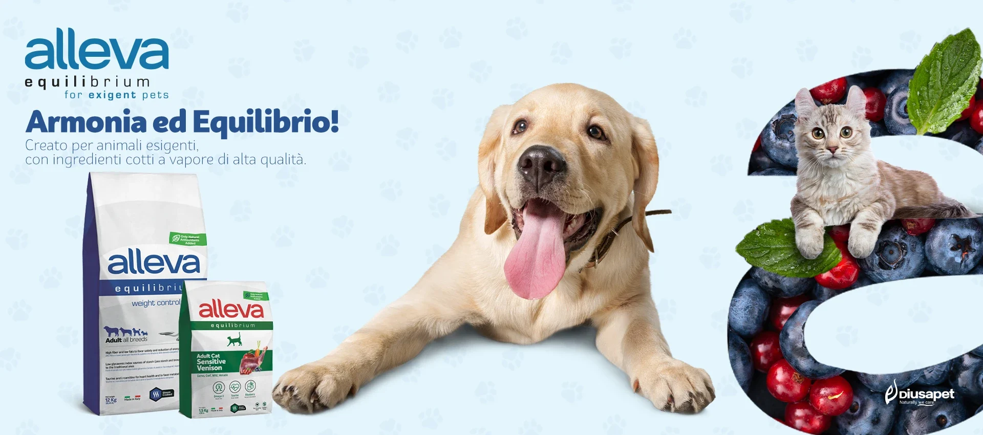 eEquilibrium banner 1920x850